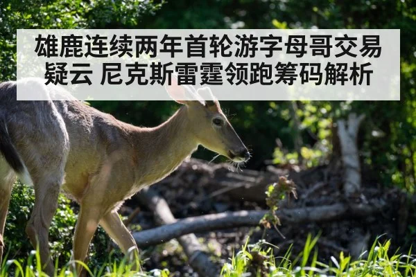 雄鹿连续两年首轮游字母哥交易疑云 尼克斯雷霆领跑筹码解析